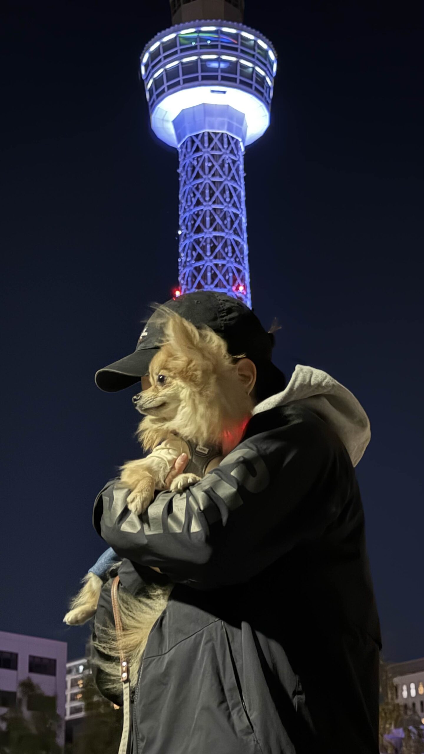 しぇる